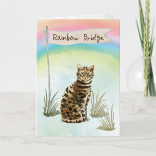 Bengalisches Cat Pet Beileid über Regenbogenbrücke Karte