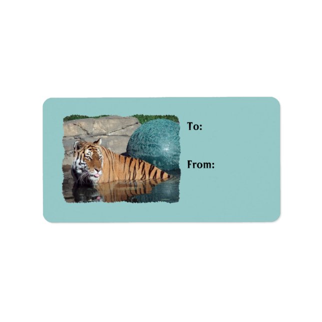 Bengalisches Tiger Foto Light Blue Gift Tags Adressaufkleber (Vorne)