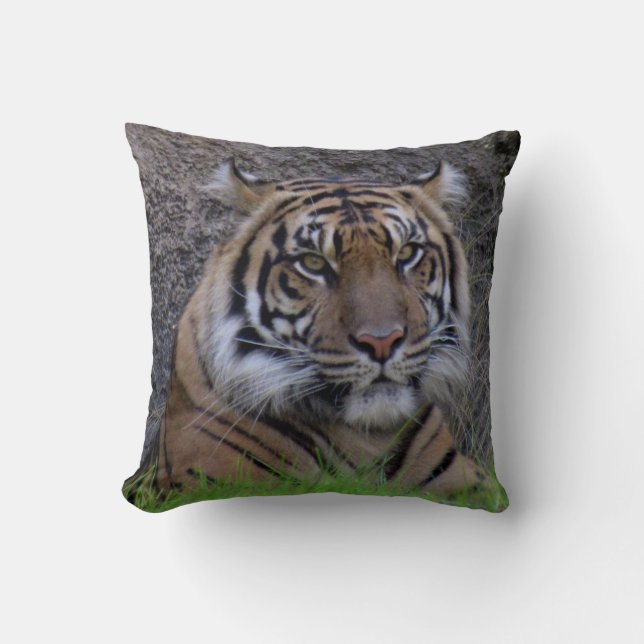 Bengalisches Tigerpillow (4765) Kissen (Vorderseite)