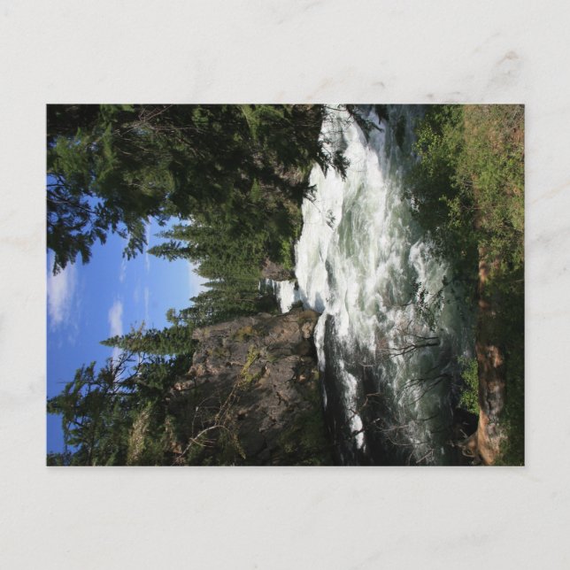 Benham Falls Postkarte (Vorderseite)