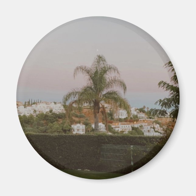 Benhavis Palm Tree, Marbella, Andalusien, Spanien Magnet (Vorne)