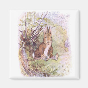 Benjamin Bunny (von Beatrix Potter) Magnet
