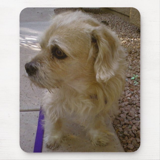 Benji Mousepad (Vorne)