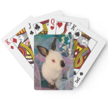 Benjis Bunny Poker Jam