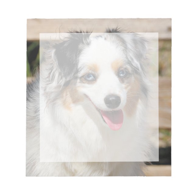 Bennett - Aussie Mini - Rosie - Carmel Beach Notizblock (Vorderseite)