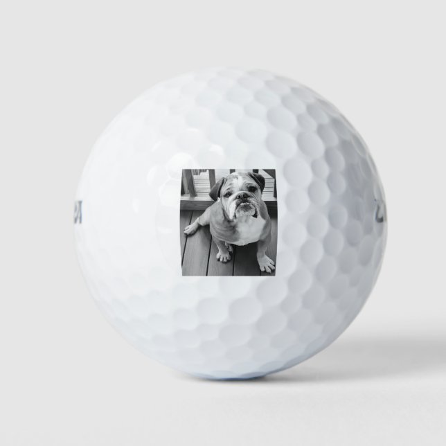 Benny, der Bulldog Golfball (Vorderseite)