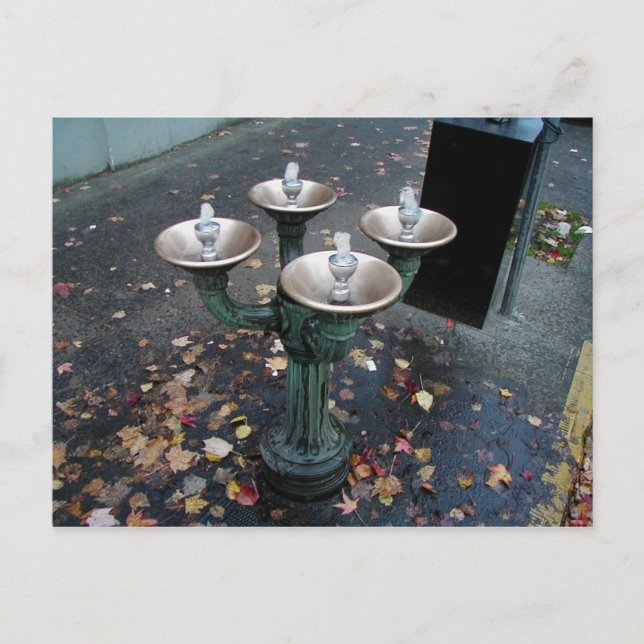 Benson Bubbler Portland Oregon Postkarten (Vorderseite)