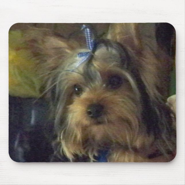 BENSON MOUSEPAD (Vorne)