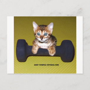 Bental Kitten mit Dumbell Gelb Postkarte