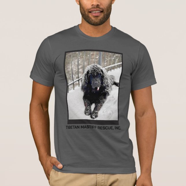Bentley Grey T shirt (Vorderseite)