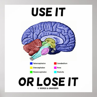 Benutzen oder verlieren Sie es (Anatomische Gehirn Poster