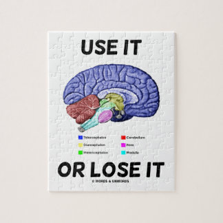 Benutzen oder verlieren Sie es (Anatomische Gehirn Puzzle