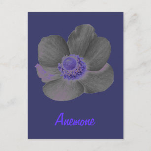 Benutzerdefinierbare Dark Dreams Anemone Blume Pos Postkarte