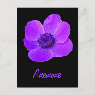 Benutzerdefinierbare Lila Anemone-Blume-Postkarte Postkarte
