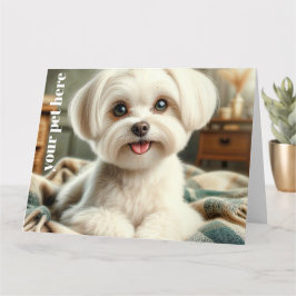 Benutzerdefiniert Karte