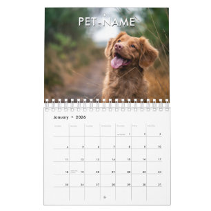 Benutzerdefinierte 14-Foto-Haustier-Hund-14-Name-B Kalender