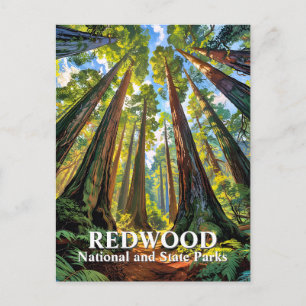 Benutzerdefinierte Bäume des Redwood Nationalparks Postkarte