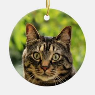 Benutzerdefinierte Braungetigerte Katze Foto Keramik Ornament