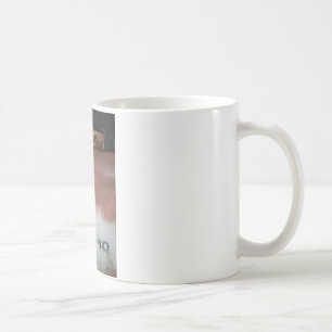 benutzerdefinierte Deluxe rosa und weiß Tasse