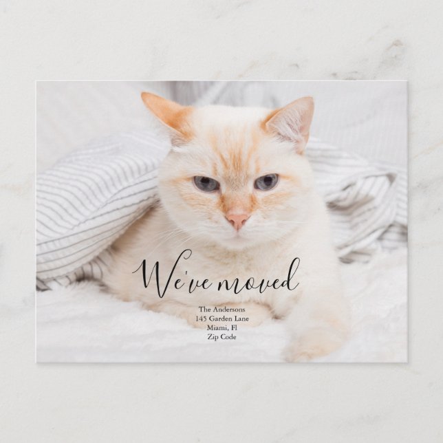 Benutzerdefinierte Foto-Ankündigung Postkarte (Vorderseite)