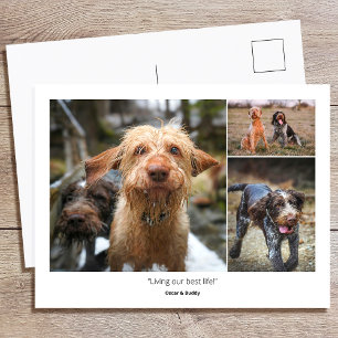 Benutzerdefinierte Foto Familien Haustiere Zitate Postkarte