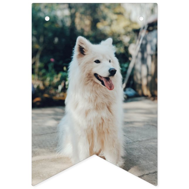 Benutzerdefinierte Foto-Flags Geburtstagshunde  Wimpelkette (Fünfte Fahne)
