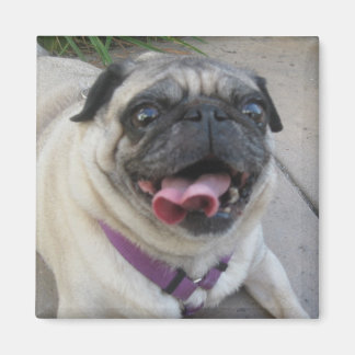 Benutzerdefinierte Foto-Magnete Magnet