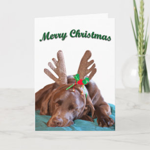 Benutzerdefinierte Fotografie eines Chocolate Lab Feiertagskarte