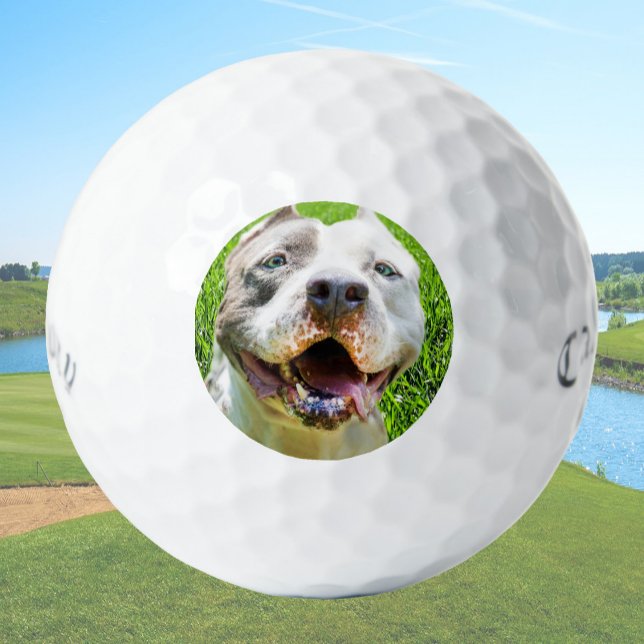 Benutzerdefinierte Golfbälle mit Hunde-Foto Erstel (Von Creator hochgeladen)