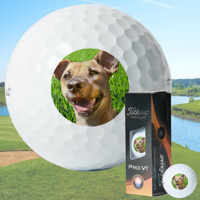 Benutzerdefinierte Golfbälle mit Hundebild Erstell (Von Creator hochgeladen)