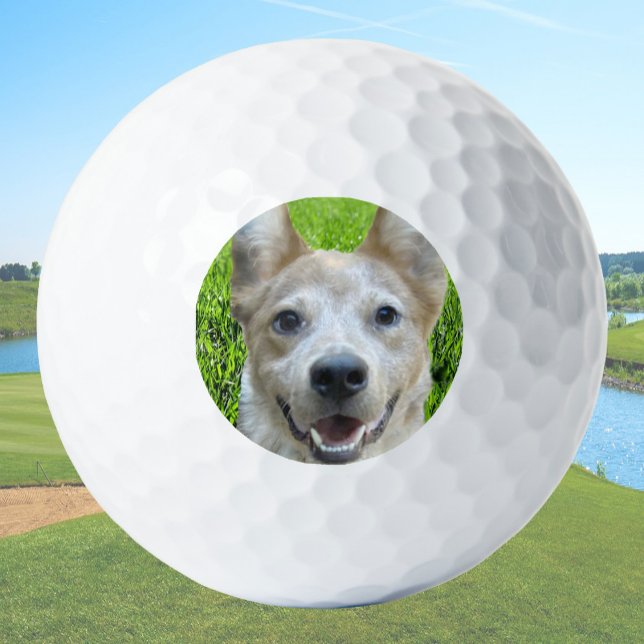 Benutzerdefinierte Golfbälle mit Hundebild Erstell (Von Creator hochgeladen)