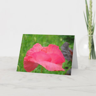 Benutzerdefinierte Grußkarten Pinker Klatschmohn Feiertagskarte