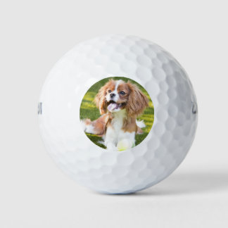Benutzerdefinierte Haustier-Foto hinzufügen Golfball