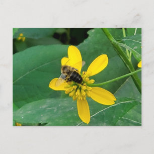 Benutzerdefinierte Hummel auf einer gelben Blumenp Postkarte