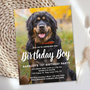 Benutzerdefinierte Hunde-Geburtstags-Party-Einladu Postkarte