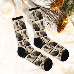 Benutzerdefinierte Hundedokumentation Socken