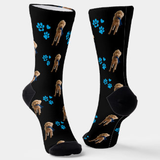 Benutzerdefinierte Hundestrümpfe — Personalisierte Socken