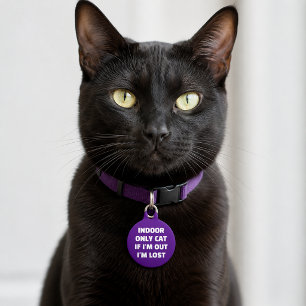 Benutzerdefinierte Indoor-Katze Wenn ich draußen b Haustiermarke