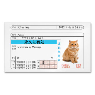 Benutzerdefinierte japanische Fahrerlizenzkarte!! Magnetische Visitenkarte