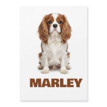Benutzerdefinierte Liebe Hunde Liebhaber Name