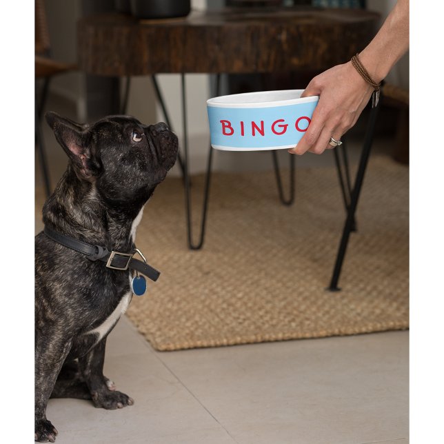 Benutzerdefinierte Personalisierte Haustier Katze  Napf (Custom Personalized Pet Dog Cat Name Food Bowl)