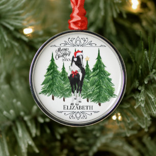Benutzerdefinierte Personalisierte Pferd Wasserfar Ornament Aus Metall