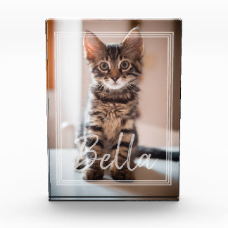 Benutzerdefinierte Pet-Namen-Typografie und Foto-R Fotoblock