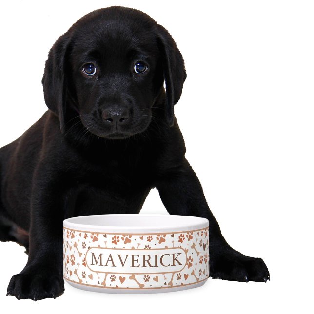 Benutzerdefinierte Pfoten und Knochen Napf (Von Creator hochgeladen)