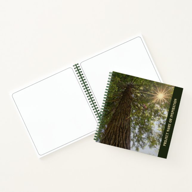 Benutzerdefinierte Sequoia mit Sunburst Foto Sketc Notizbuch (Innenseite)