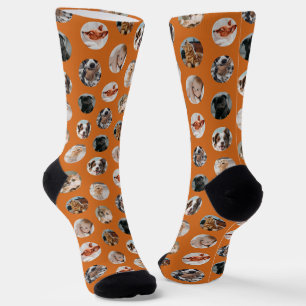Benutzerdefinierte süße 8-Foto-Haustier-Collage Socken