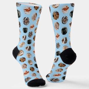 Benutzerdefinierte süße 8-Foto-Tier-Collage Past Socken