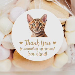 Benutzerdefinierte Tabby-Katze Hochzeitsaufkleber Runder Aufkleber