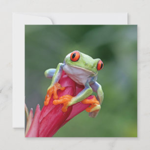 Benutzerdefinierte Text-Frosch-Karte