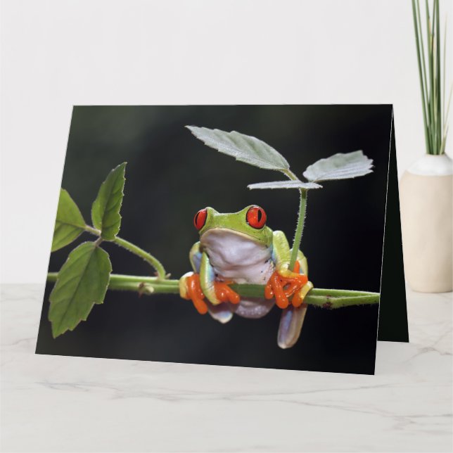 Benutzerdefinierte Text-Frosch-Karte Karte (Vorderseite)